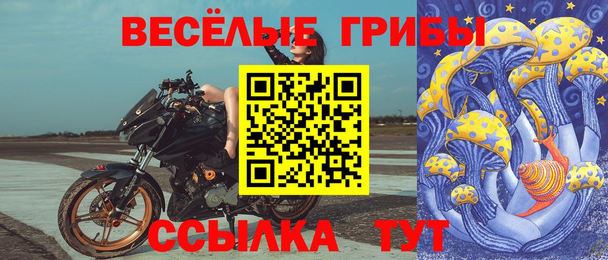 Галлюциногенные грибы MAGIC MUSHROOMS Томск