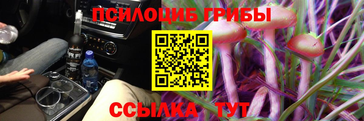 Галлюциногенные грибы MAGIC MUSHROOMS  купить наркотики сайты  Томск  Вход с VPN 